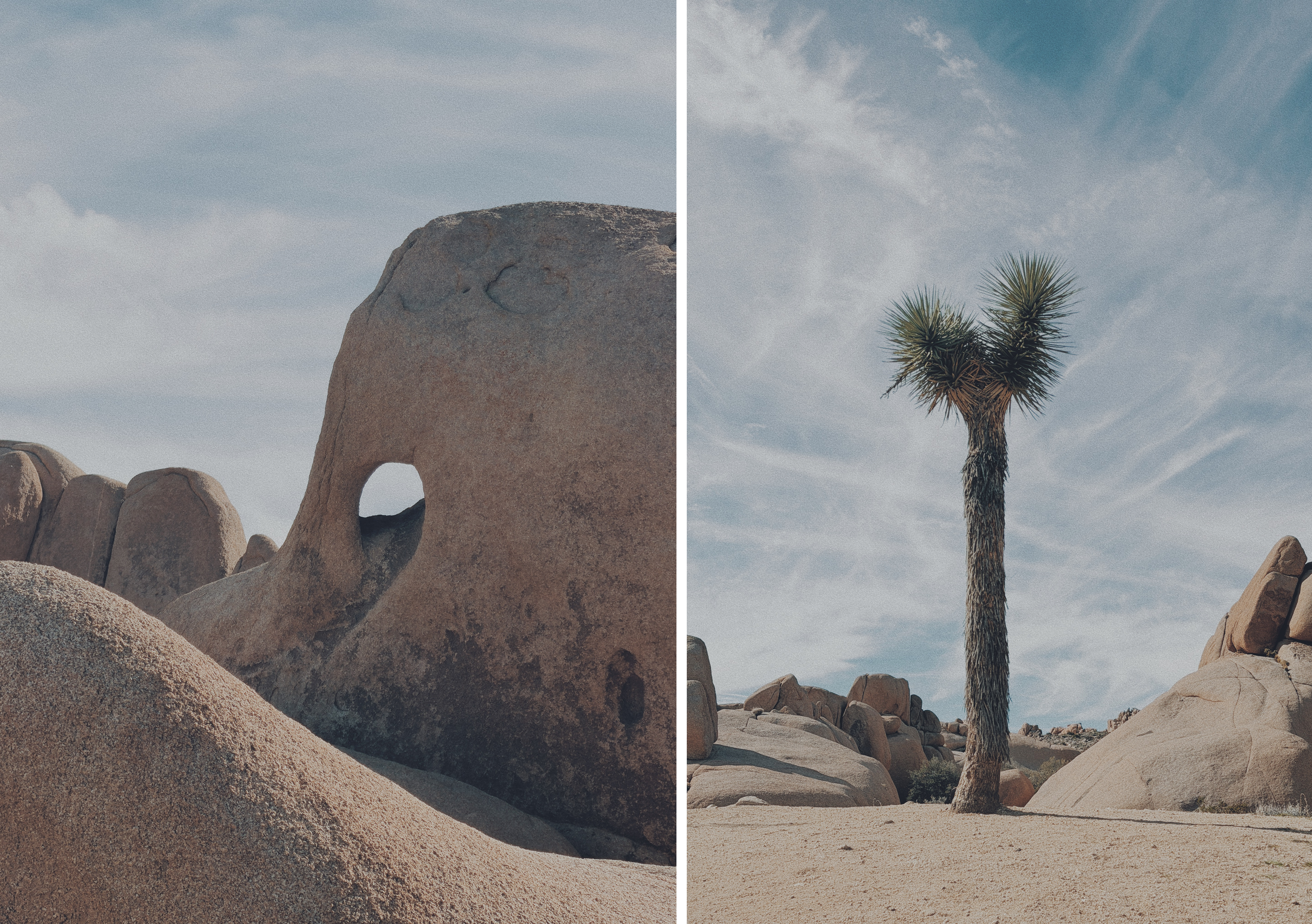 Image 1: In Joshua Tree National Park, a massive rounded granite boulder rises from sandy ground, pierced by a smooth oval opening near its base. Smaller boulders cluster around it, and the pale blue sky is streaked with thin, high clouds.  Image 2: A single Joshua tree stands upright in open desert at Joshua Tree National Park, its tall, rough trunk topped with spiky green crowns. Rounded granite rocks sit behind it, and wispy clouds fan out across the bright midday sky.